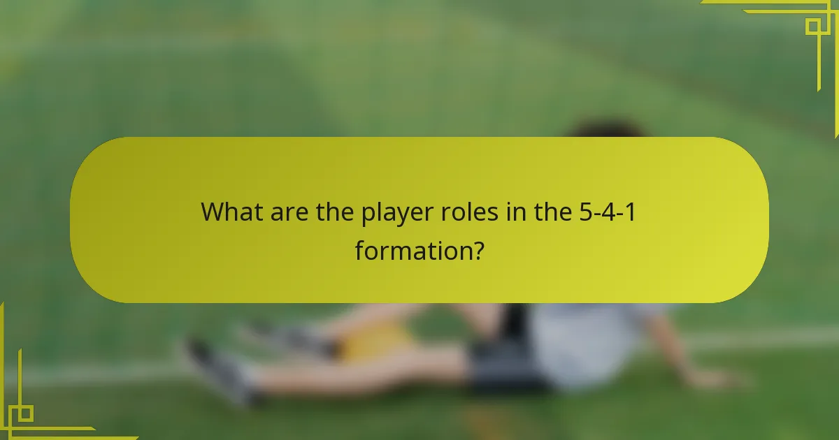 What are the player roles in the 5-4-1 formation?